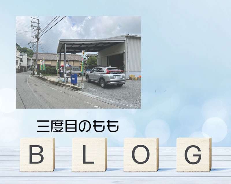 すんなりスムーズ今年こそ　和歌山県紀の川市　荒川の桃